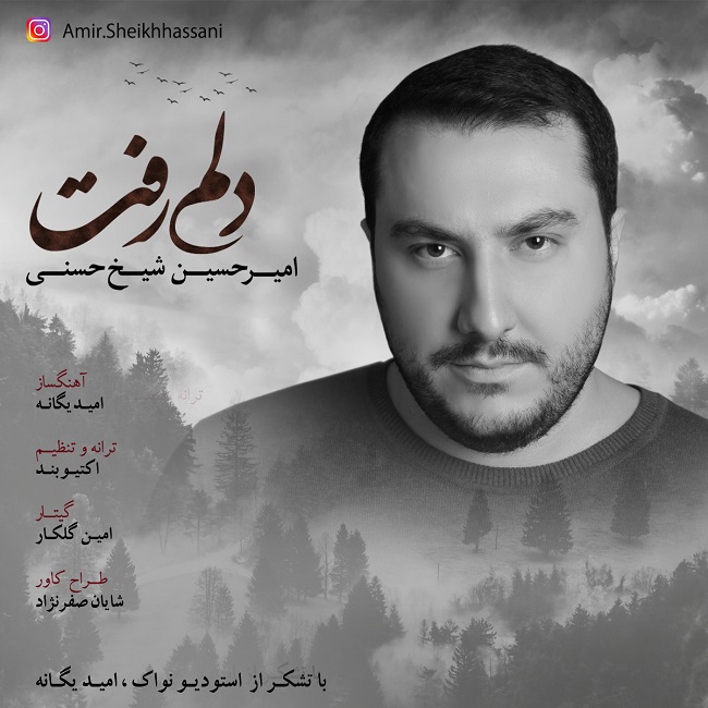 دانلود آهنگ دلم رفت